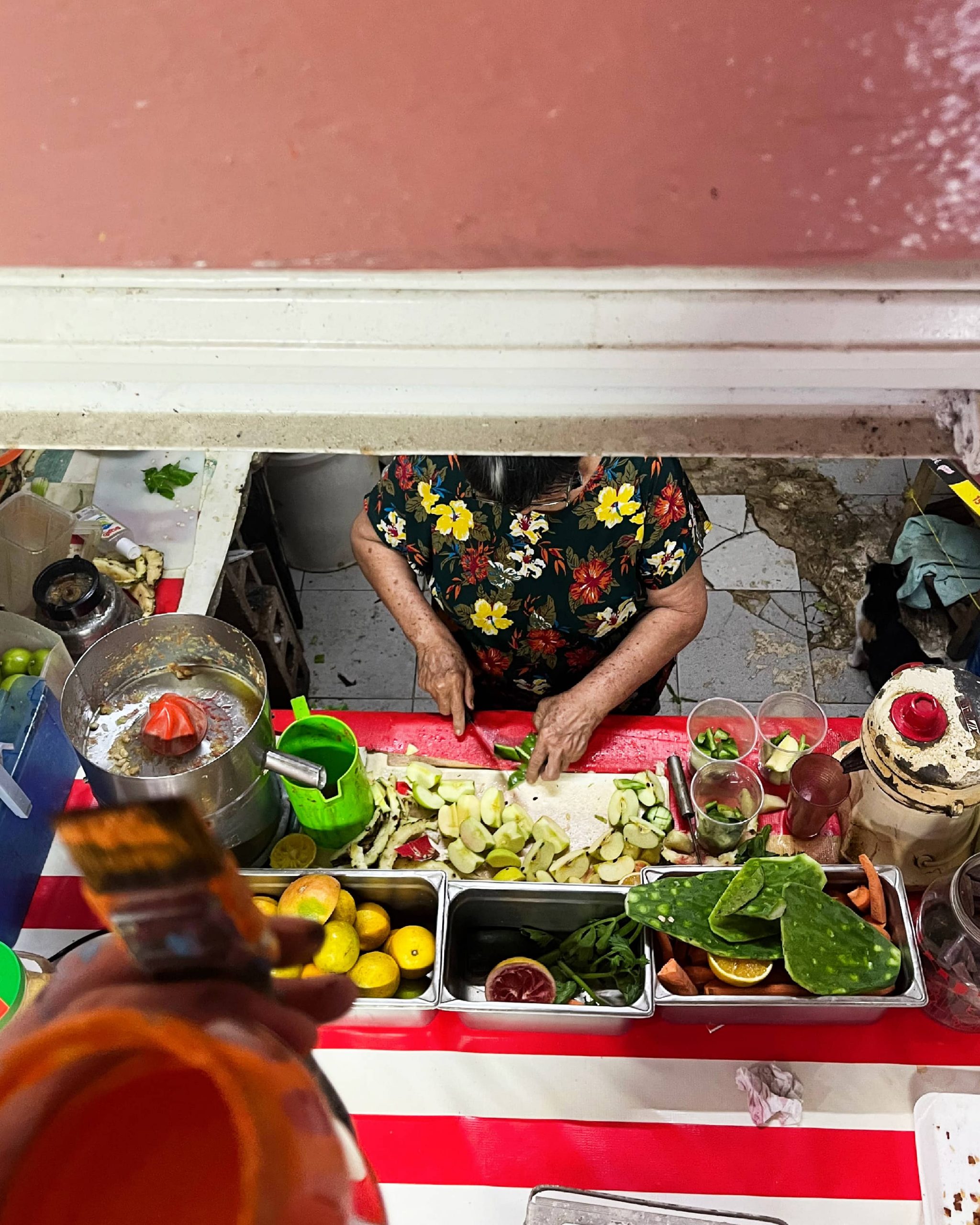 IMG_6753 Kopie2 Kopie